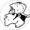 Dorji Choenden Avatar
