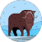Dev gordon Avatar