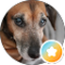 Jędrzej Bartosz Avatar